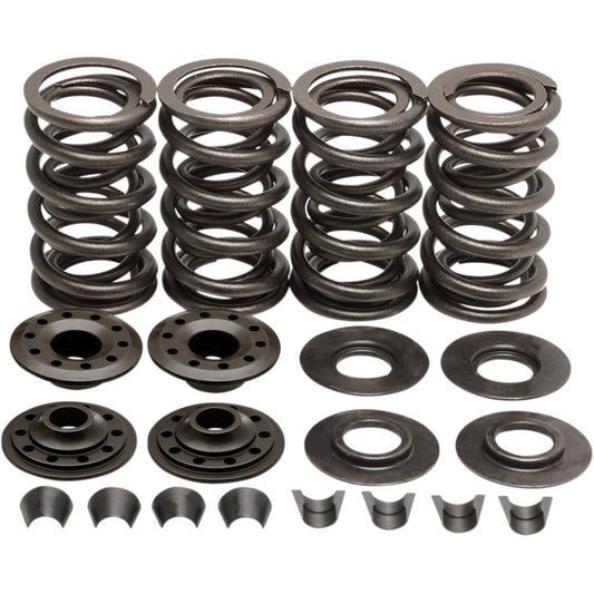 03-04 for Harley Softail Night Train FXSTB KIBBLEWHITE Valve Spring Kit Big Twin