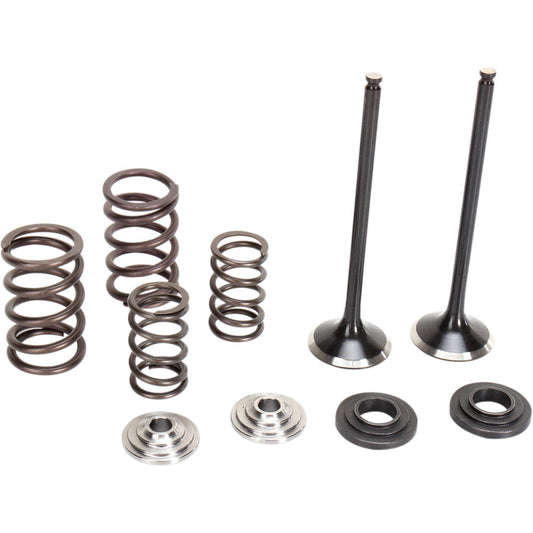 2010-2012 for KTM 250 SX-F MOOSE RACING Valve and Spring Kit M96-96460