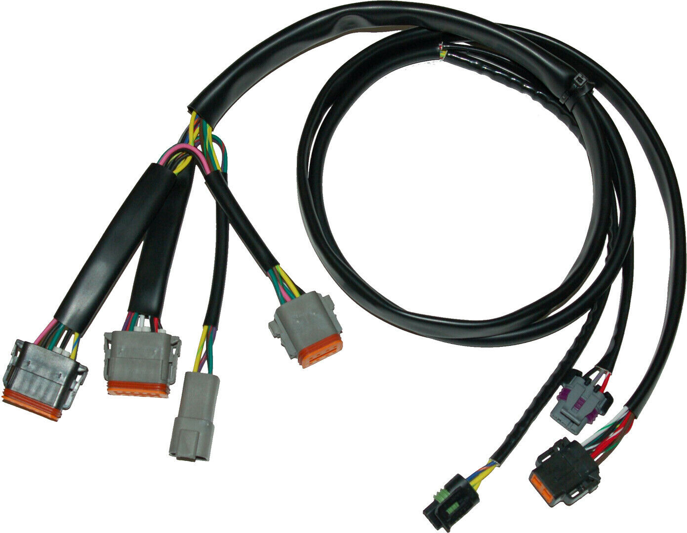 1999 for Harley Road King Classic EFI FLHRC NAMZ Ignition Wiring Harness