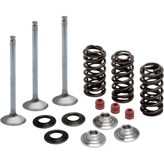 2003-2016 for Yamaha WR 450 F KIBBLEWHITE Valve Spring Kit 80-80950