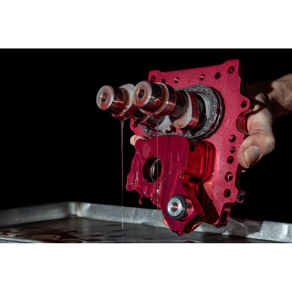 2004-2006 for Harley Road King Custom EFI FLHRS Cam Plate Conversion