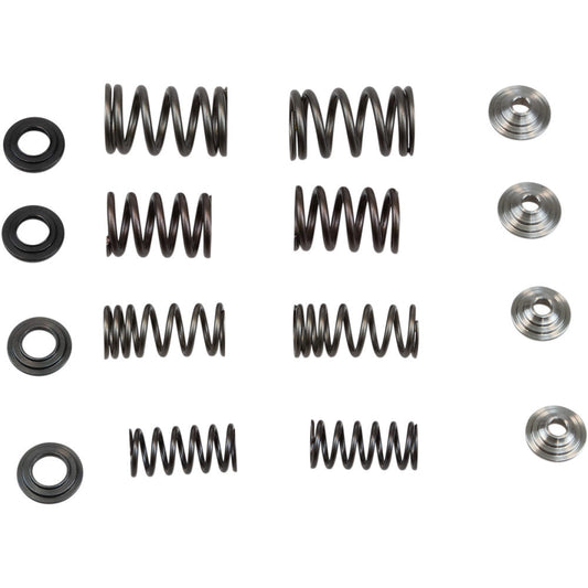 2009-2012 for Honda CRF450R KIBBLEWHITE Spring Kit .440" 30-31250