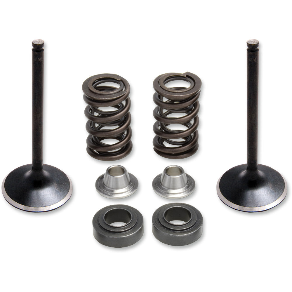2014-2019 for Yamaha YZ 450 F KIBBLEWHITE Valve Spring Kit 80-81100