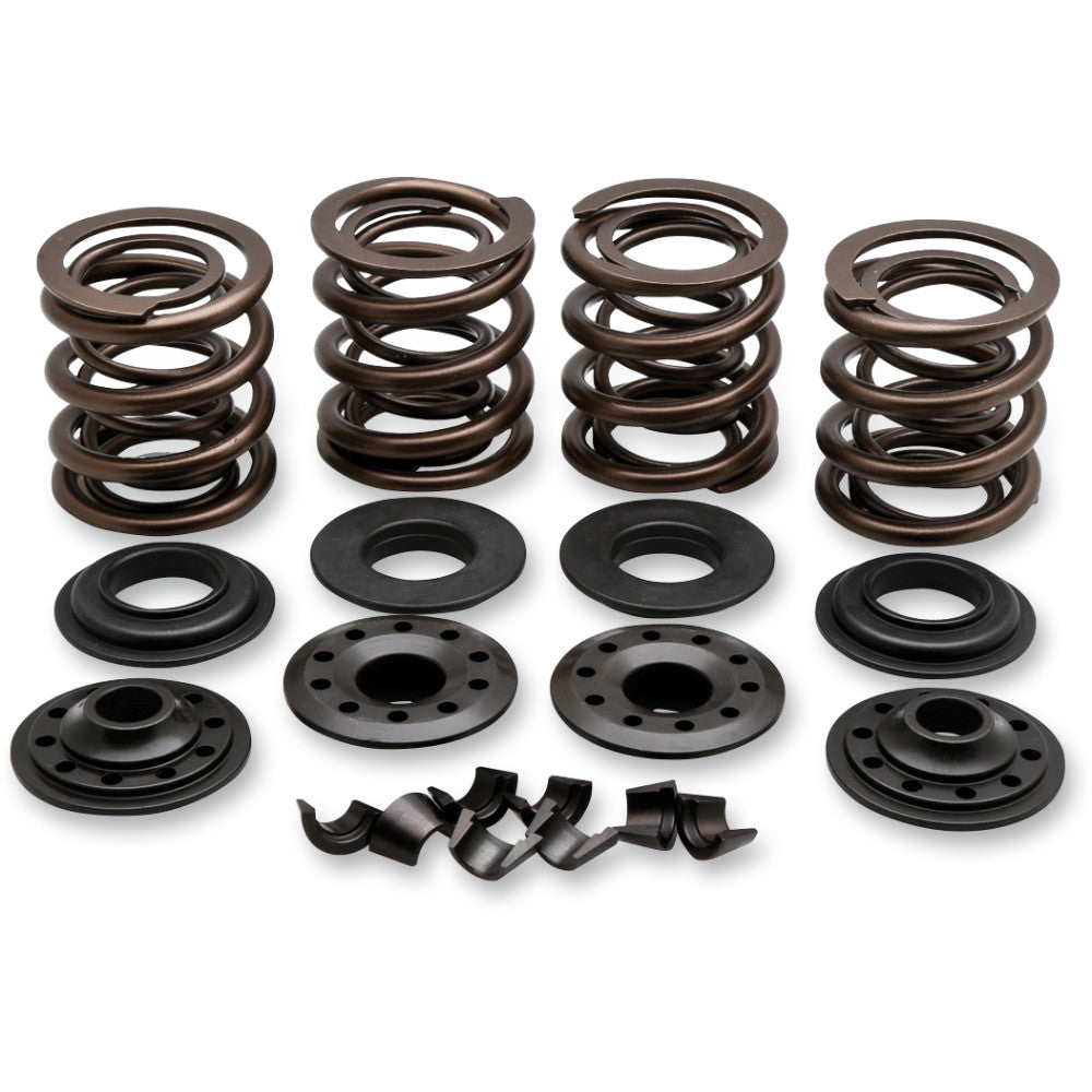 1979-1984 for Harley Electra Glide FLH KIBBLEWHITE Valve Spring Kit 20-20850