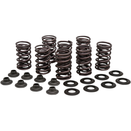 2011-2012 for Polaris RZR XP 900 EFI 4x4 KIBBLEWHITE Valve Spring Kit 82-83350