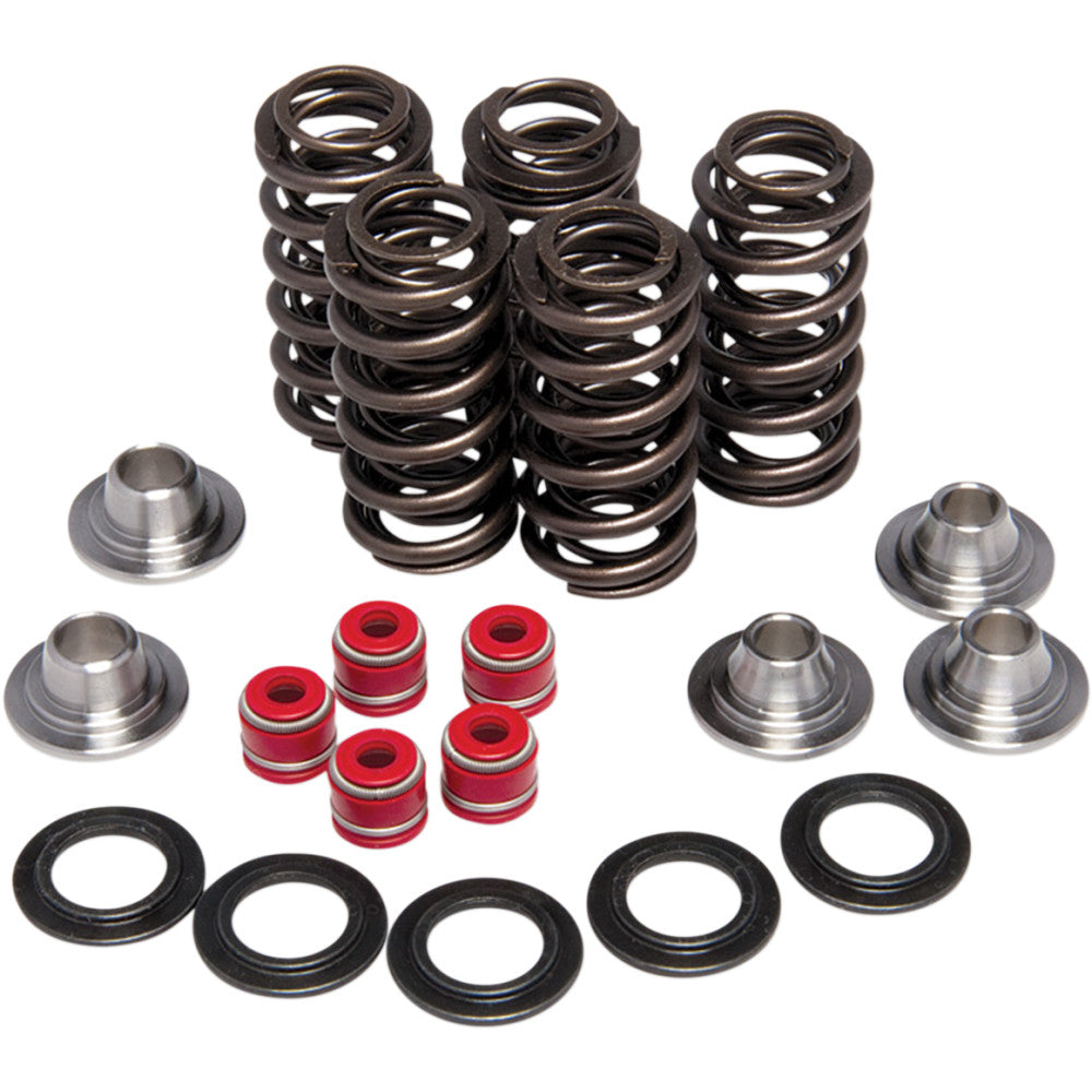 2003-2015 for Yamaha WR 450 KIBBLEWHITE Valve Spring Kit 80-80206