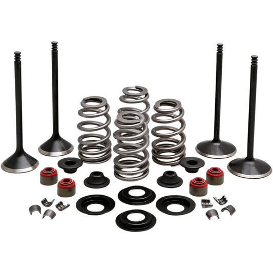 2009-2021 for Harley Iron 883 XLN KIBBLEWHITE Complete Valve Kit Evolution/1200