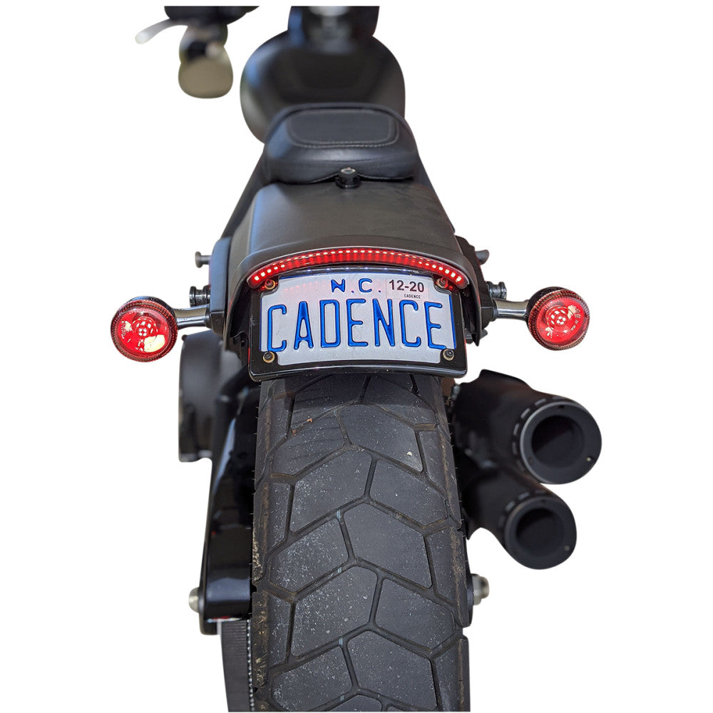 2018-2021 for Harley Softail Fat Bob 114 FXFBS LED Tailight with Turn Signal Red