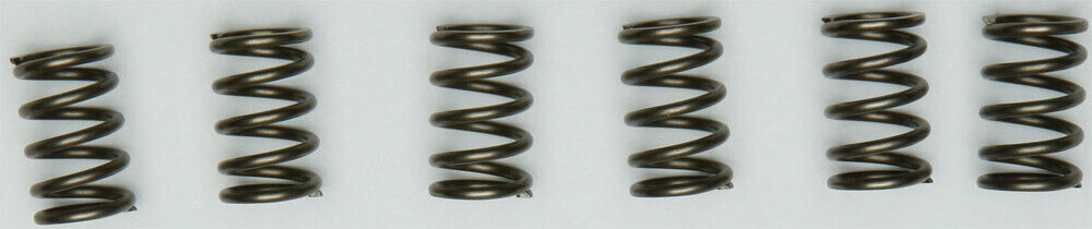 00-'07 for Suzuki GSX-R1300 Hayabusa EBC Clutch Springs