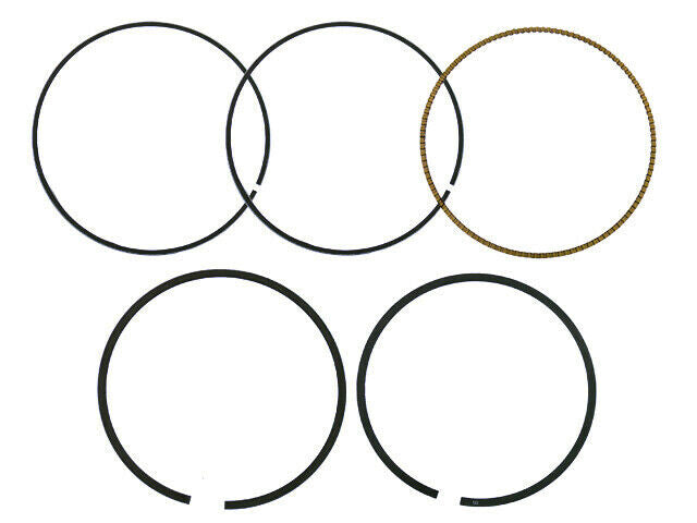 06-'17 for Honda TRX680FA Rincon Piston Rings 101.97Mm For Namura Pistons Only