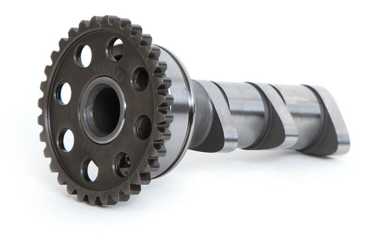 2009-2020 for Yamaha YFZ 450R 4x2 HOT CAMS Intake Camshaft 4288-2IN