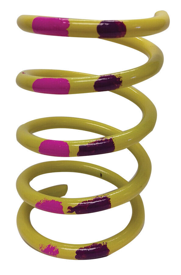 VENOM PRODUCTS Primary Spring 210604-002 – Conex Cycle