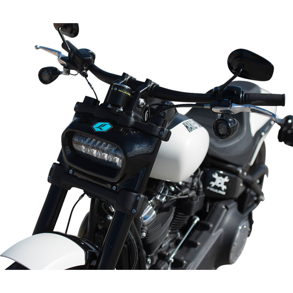 2018-2021 for Softail Sport Glide FLSB AXEO43 Inverted Front Suspension System