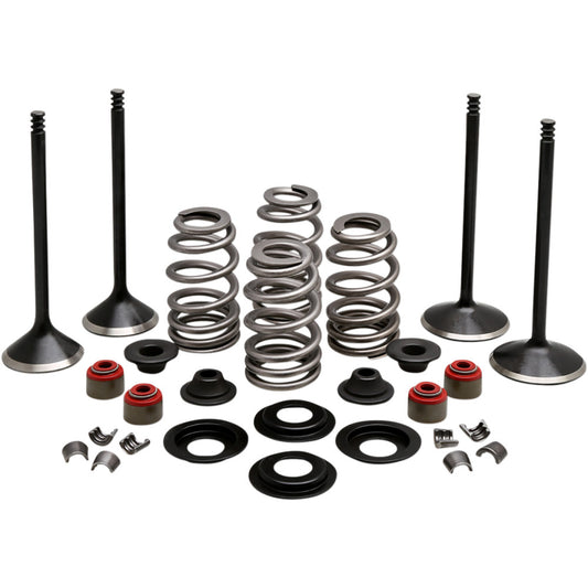 2014-2016 for Harley FLHTCUL KIBBLEWHITE Complete Valve Kit Twin Cam 20-23150