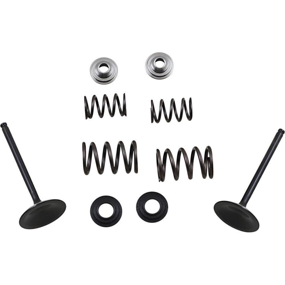 2006-2009 for Suzuki LT-R 450 QuadRacer MOOSE RACING Intake Valve Kit M60-60850