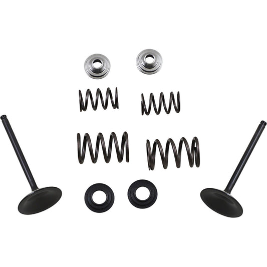 2006-2009 for Suzuki LT-R 450 QuadRacer MOOSE RACING Intake Valve Kit M60-60850
